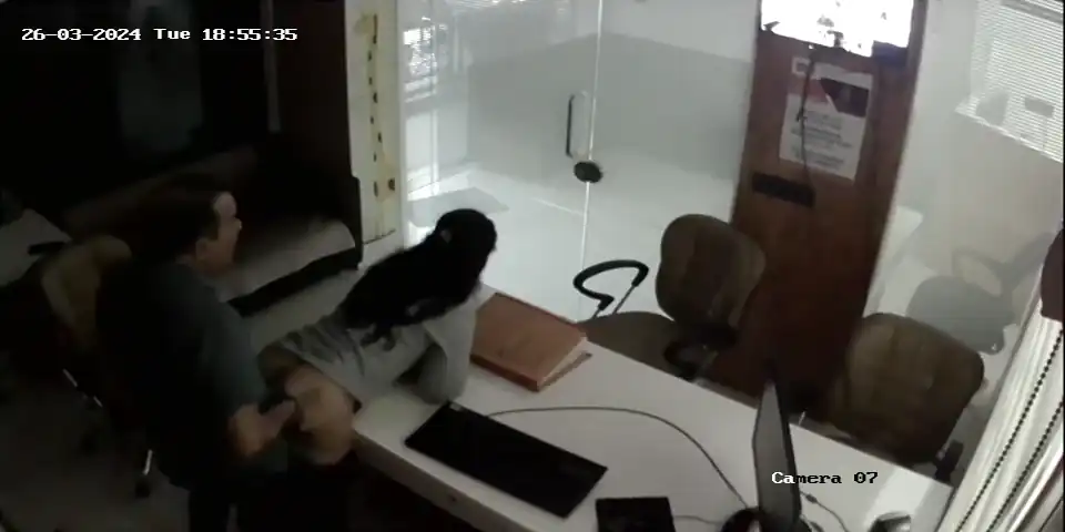 secretary fucked by manager in office cctv thumbnail